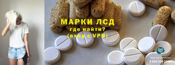 стаф Медногорск