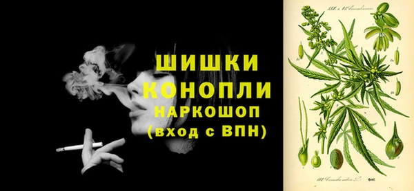 стаф Медногорск