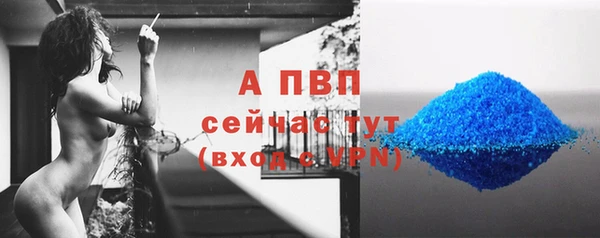стаф Медногорск