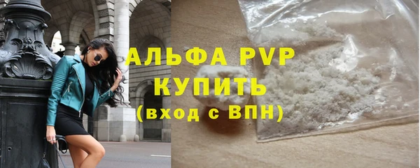 стаф Медногорск
