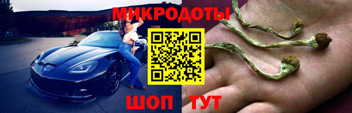 Псилоцибиновые грибы мицелий  Фурманов  Псилоцибиновые грибы прущие грибы 